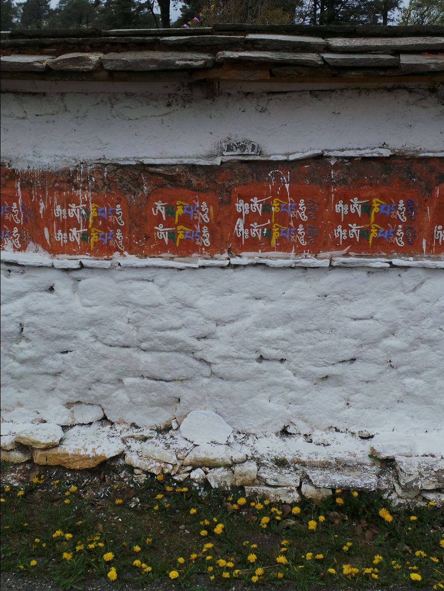 Dochula Pass23